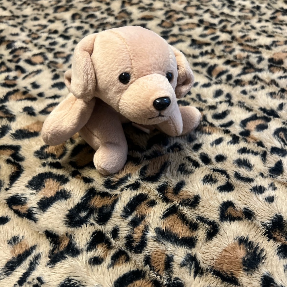 Beanie baby